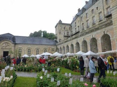 7-8 Mai : La Roche-Guyon (95): ‘Plantes, plaisirs, passions